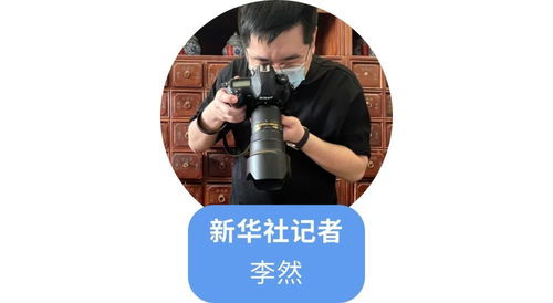 法拍生锈涉刑案钳子，五元成交背后的故事