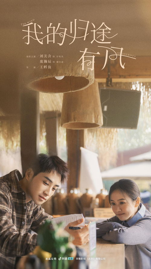 短剧日结男神的魅力之旅——99集的精彩世界