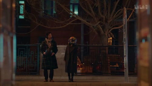 短剧卧狼行动——百集精彩纷呈,演绎传奇故事 短剧卧狼行动——百集精彩纷呈,演绎传奇故事