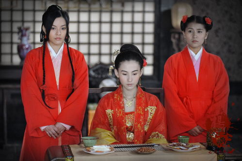 护国女将星传奇，骆总的超能打夫人