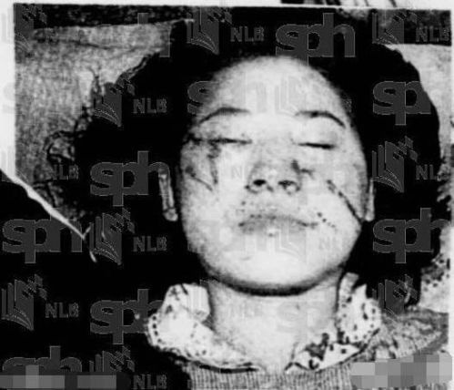 短剧二爷夫人又没电了——83集的精彩纷呈 短剧二爷夫人又没电了——83集的精彩纷呈