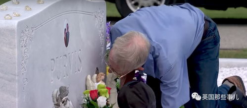 无法割舍之爱，一部72集短剧的深情演绎