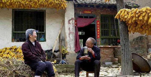 短剧乡村大帝——百集故事,见证乡村的辉煌与蜕变 短剧乡村大帝——百集故事,见证乡村的辉煌与蜕变