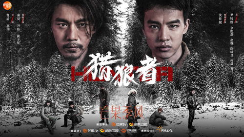 探秘大魏第一神探，98集短剧的魅力与深度