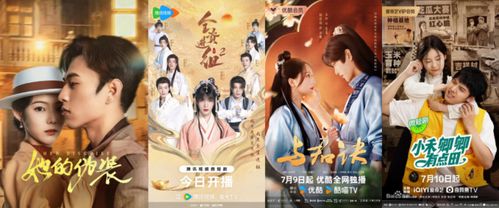 玲珑战婿，99集短剧的魅力与深度解析