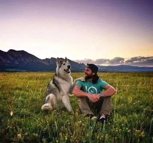 短剧年下狼狗撩心记，83集的甜蜜心跳之旅