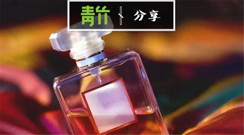 短剧极乐香水的魅力之旅，92集的深度解读