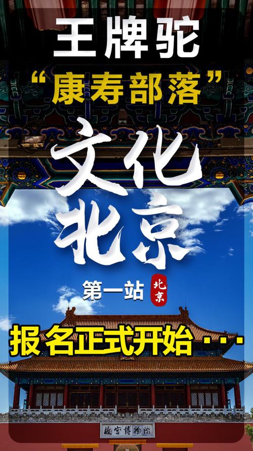 短剧独霸天下，百集巨献的魅力与影响