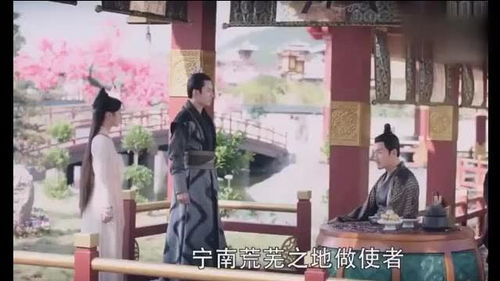 短剧隐龙之护妻高手——百集精彩纷呈