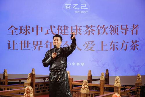 短剧中的傻女替嫁,惊动全球的69集传奇 短剧中的傻女替嫁,惊动全球的69集传奇