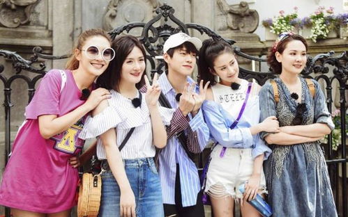 短剧秘恋，八十集的浪漫之旅