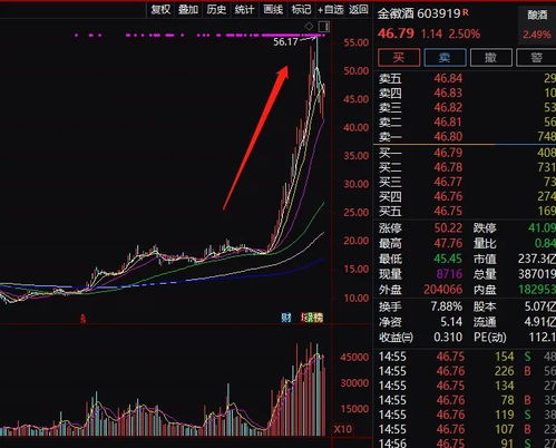 股市大涨背后的经济脉动——郭广昌视角下的市场反应