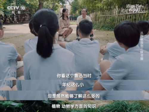 短剧万米之上的魅力之旅 短剧万米之上的魅力之旅