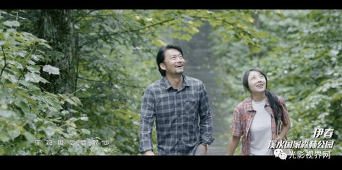 短剧之深陷温暖,79集的情感之旅 短剧之深陷温暖,79集的情感之旅