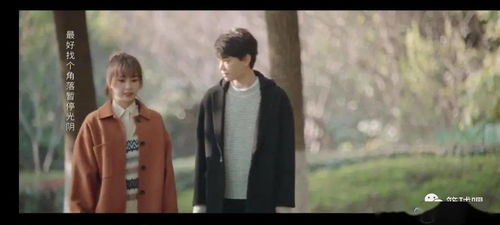 荆棘爱人,一部85集短剧的深情演绎 荆棘爱人,一部85集短剧的深情演绎