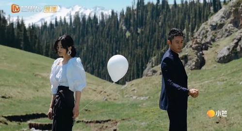 短剧再见爱人,84集的情感之旅 短剧再见爱人,84集的情感之旅