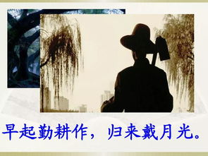 父爱如山——一部短剧的深度解读