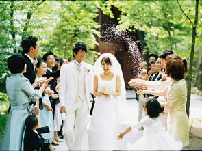 重生新郎的百次婚礼之旅——短剧结婚一百零一次的深度解析