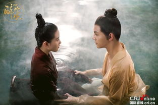 将军的现代夫人,跨越时空的深情 将军的现代夫人,跨越时空的深情