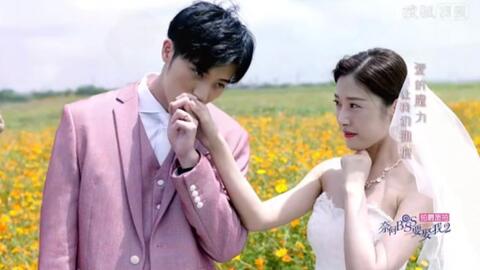 短剧奈何BOSS要契约结婚——81集的甜蜜与波折