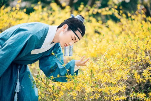 短剧落花时节又逢君——马秋元与厂工大人的85集浪漫之旅 短剧落花时节又逢君——马秋元与厂工大人的85集浪漫之旅