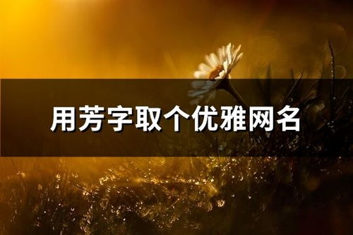 短剧人世间,82集的深度解读与感悟 短剧人世间,82集的深度解读与感悟