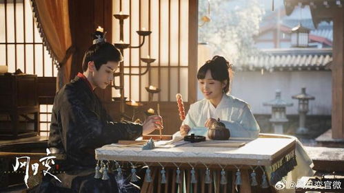 十年后的短剧之旅，我回村炸翻全场（共85集）