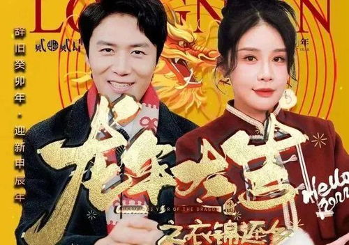 短剧隐婚对象是大佬——95集的甜蜜与波折