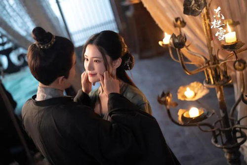 短剧星途璀璨,七十三集的璀璨人生之旅 短剧星途璀璨,七十三集的璀璨人生之旅