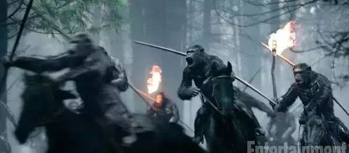 短剧召唤，群雄崛起，我无敌了