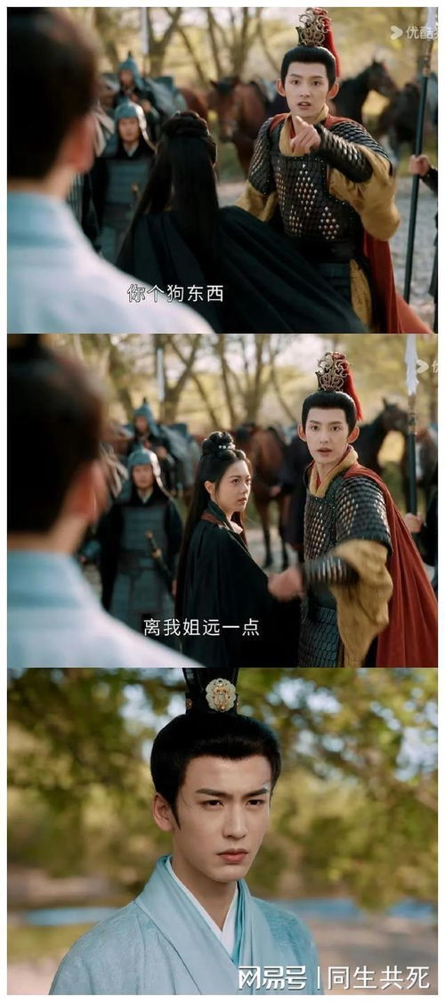 短剧长公主驾到——86集的华丽演绎 短剧长公主驾到——86集的华丽演绎