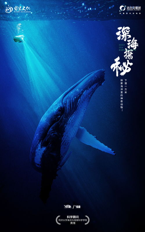 深海之谜，短剧原来深海没有光的探索与解读