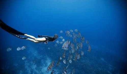 深海之谜，短剧原来深海没有光的探索与解读