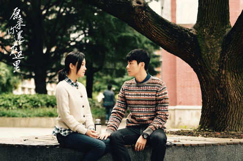 短剧如果还能遇到你——84集的浪漫与感动