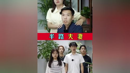 短剧爱我大可不必,情感与生活的交织 短剧爱我大可不必,情感与生活的交织