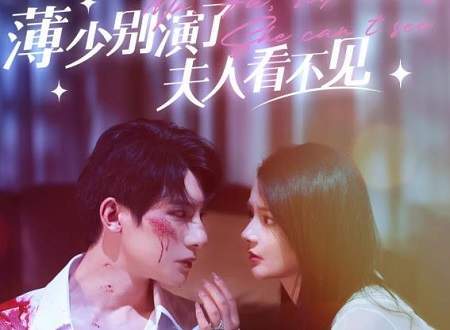 短剧顾先生特工太太有有亿点甜——甜蜜的81集之旅