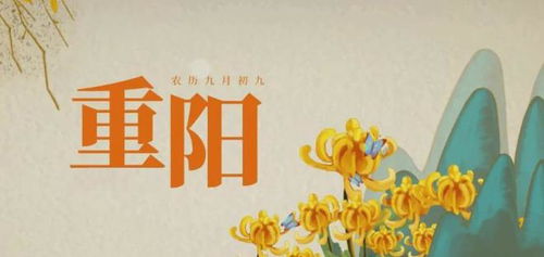 短剧日行一善的温暖之旅——91集的善行故事