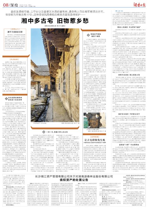 短剧未来报纸,84集的深度探索与展望 短剧未来报纸,84集的深度探索与展望