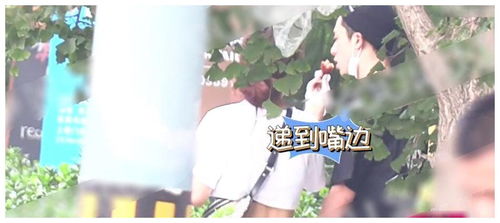 花开正艳——短剧的璀璨绽放