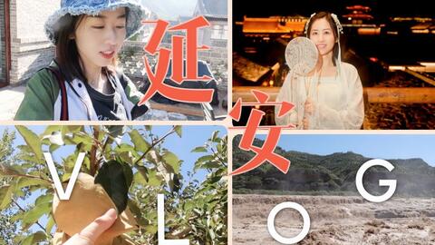 短剧延迟告白的百集之旅