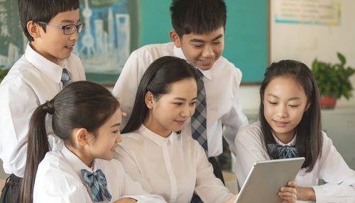 短剧寒窗苦读少年志——73集的青春奋斗与成长