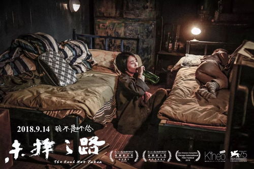 九爷的拼四胎之路，百集短剧的精彩演绎