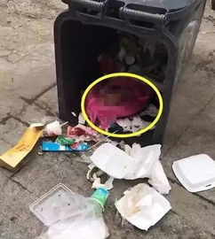 街道办回应垃圾桶内发现女婴事件