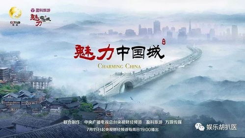 一意孤行，短剧的魅力与深度