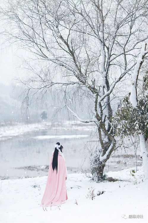 短剧墨不见雪,七十五集的精彩演绎 短剧墨不见雪,七十五集的精彩演绎