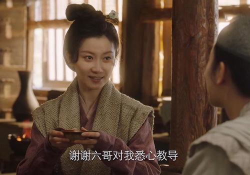 短剧我儿镇南王——楚樊琦的传奇人生 短剧我儿镇南王——楚樊琦的传奇人生