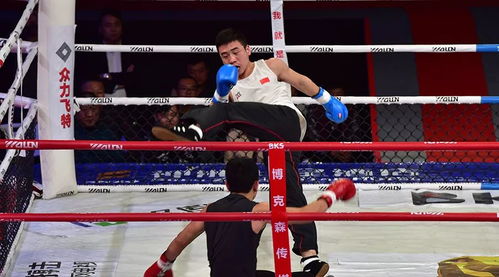 拳王妈妈，请放下手中的鞭子——二十集情感成长短剧