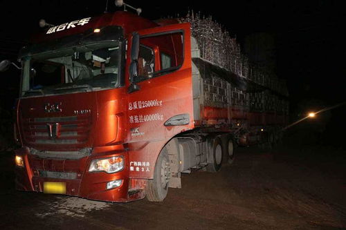 短剧之旅,假扮货车司机的我遇见了此生挚爱 短剧之旅,假扮货车司机的我遇见了此生挚爱