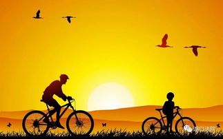 短剧父爱如山——80集的温情与责任 短剧父爱如山——80集的温情与责任