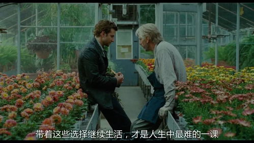 短剧离婚前我拿回了所有——85集的婚姻故事 短剧离婚前我拿回了所有——85集的婚姻故事